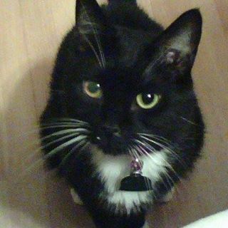 Ed Zak - Facebook Profile Picture of Ed Zak (@anthony.zak.39) on Facebook