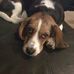 Profile Picture of Ruby Sue Chappell (@ruby.s.chappell) on Facebook