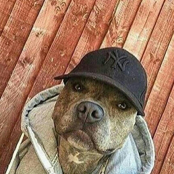 Profile Picture of Dylan Donchez (@doxchez) on Poshmark