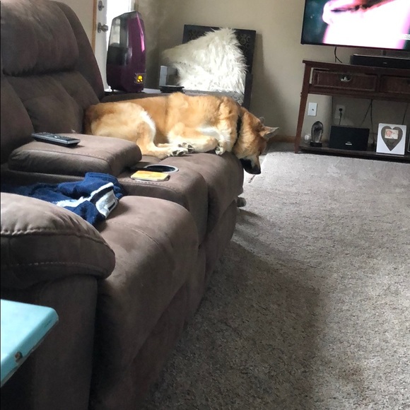 Profile Picture of Deborah Plude (@jdplude) on Poshmark