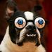 Profile Picture of Glenn Bridge (@glenn.bridge.73) on Facebook