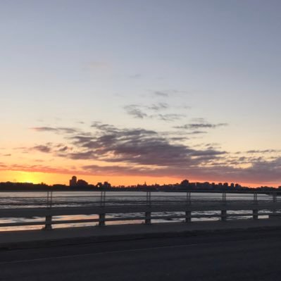 Profile Picture of Pascal Y. Pelletier (@py_pelletier) on Twitter