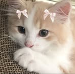 Zsanieya Keith Cupaz - Facebook Profile Picture of Zsanieya Keith Cupaz (@zsanieya.cupaz) on Facebook