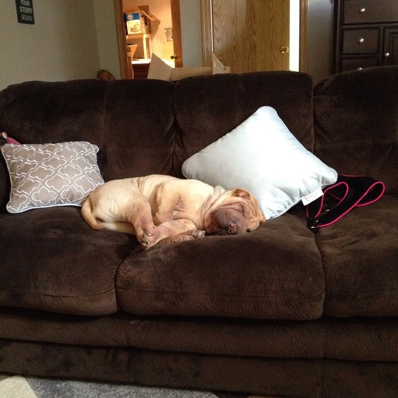 Profile Picture of Felecia Larose (@felecialarose) on Poshmark