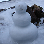 Profile Picture of Brian Lee (@cc12floz) on Flickr