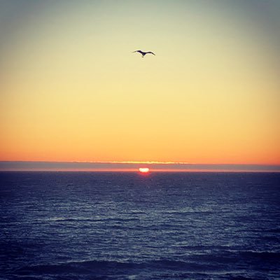 Profile Picture of Mary Alice Drumm (@drumm_alice) on Twitter