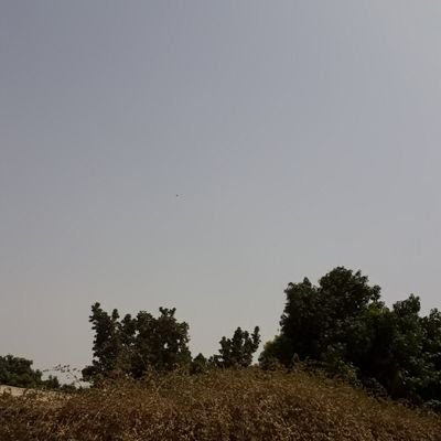 Profile Picture of Modou Jallow (@ModouJa71647454) on Twitter