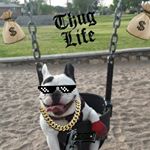 Profile Picture of Jonathan Espinosa (@bitch._.jonny) on Instagram