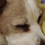 Profile Picture of Merche (@_cosquillitas_) on Flickr