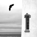 Profile Picture of Hall Jameson (@hajaphoto) on Instagram