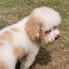 Profile Picture of Gary Chow (@@2165471310) on Tiktok