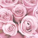 Phyllis Beers - Facebook Profile Picture of Phyllis Beers (@Phyllis-Beers) on Facebook