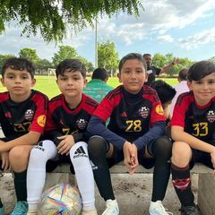 Profile Picture of Raul Wong (@raul.wong5) on Tiktok