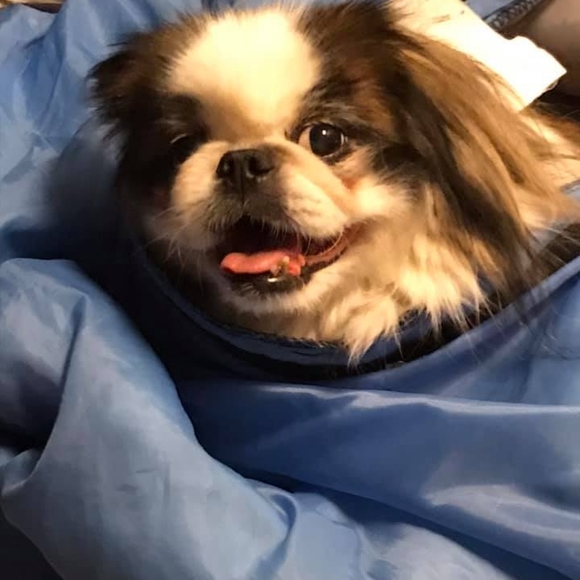 Profile Picture of Beth Murawsky (@teachor) on Poshmark