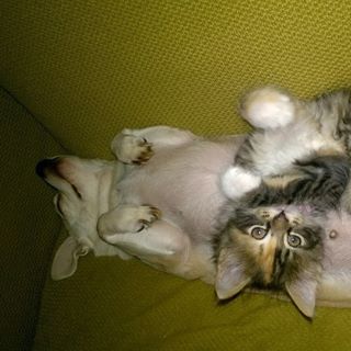 Profile Picture of Jason Graham (@jason.gram) on Facebook