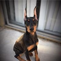 Profile Picture of Kim Moreno (@kim-moreno-9) on Quora