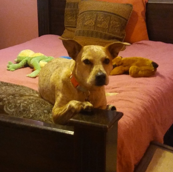 Profile Picture of La nati Casiano (@natcas) on Poshmark