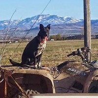 Profile Picture of Jace Ferguson (@jace-ferguson-1) on Quora