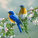 Profile Picture of hazel andrew (@hazelandrew77) on Instagram