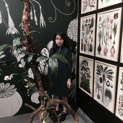 Profile Picture of Aurora Tong (@DORIS180CM) on Twitter