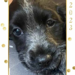 Profile Picture of Joseph Felix Duffy (@grazier63) on Instagram