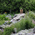 Profile Picture of Andrew Lewis (@lewdrewis) on Flickr