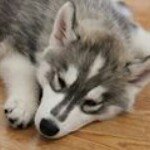 Jonathon J Carpenter (j) - Instagram Profile Picture of Jonathon J Carpenter (j) (@jonathancarpenter001) on Instagram