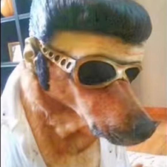 Profile Picture of Julian Medrano (@julianmedran692) on Poshmark