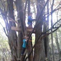 Profile Picture of Trevor Paddock (@traider44) on Pinterest