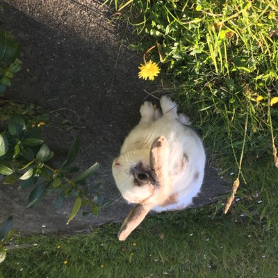 Profile Picture of Matthew Gallen (@MattGallen) on Twitter