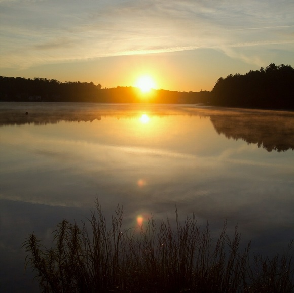 Profile Picture of Judith Hackett (@hackettj57) on Poshmark