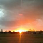 Profile Picture of Walter Matthew Heiser (@walt_boi) on Instagram
