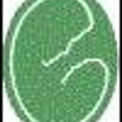 Profile Picture of Tanya Knox (@Beginningspccr) on Twitter