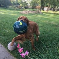 Profile Picture of Stacie Swartz (@stacie-swartz) on Quora