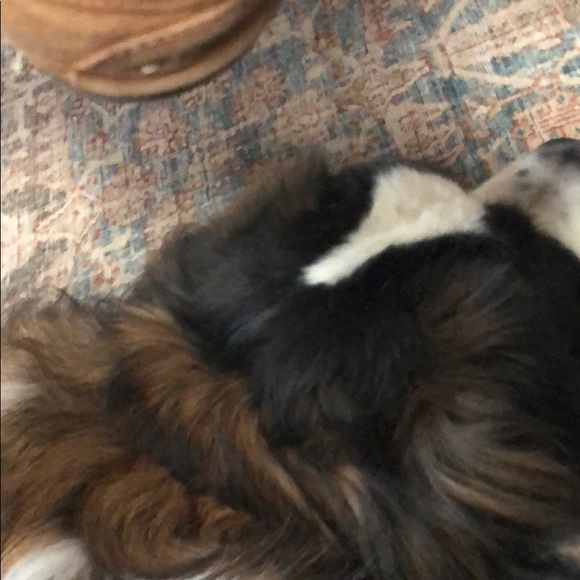 Profile Picture of Brayton Bellafiore (@bjbellafiore) on Poshmark