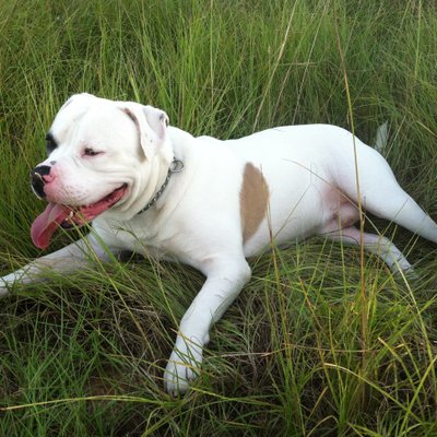 Profile Picture of Bubba Martin (@BubbaMa38461407) on Twitter