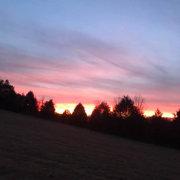 Profile Picture of Tommy Neal (@t_neal77) on Poshmark