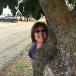 Profile Picture of Sandy Newton (@sandynewton6566) on Instagram