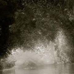 Profile Picture of Jonas Levy (@Jmlevy00) on Twitter