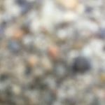 Profile Picture of Jasonhipps456 (@saadwaraich2007) on Instagram