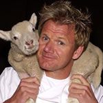 Profile Picture of Eddie Walsh (@eddie.walsh.90) on Instagram