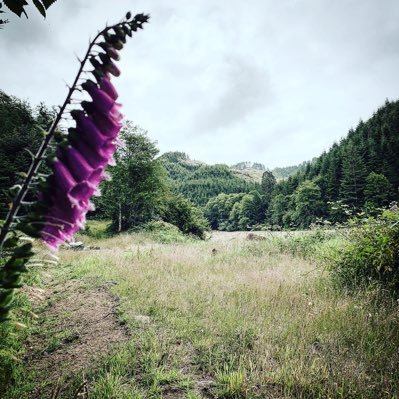 Profile Picture of Joseph Vandehey (@vandehey64) on Twitter