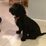 Profile Picture of Daniel Graves (@daniel_graves07) on Instagram