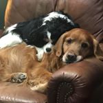 Profile Picture of Greg Kernion (@gregkernion) on Instagram