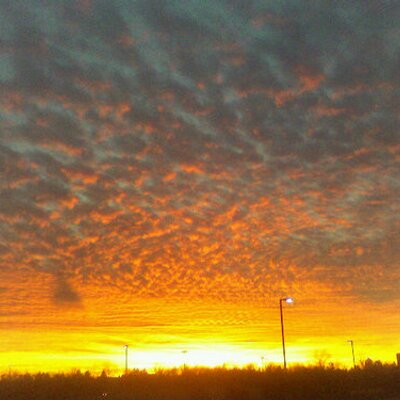 Profile Picture of Mary Stubbs (@mdwstubz) on Twitter