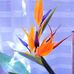 Profile Picture of David Chaudronnier (@david.chaudronnier.98) on Facebook