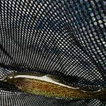 Mike Sartain - Instagram Profile Picture of Mike Sartain (@mikemike1968) on Instagram