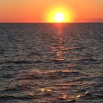 Profile Picture of Ginger Wheeler (@ginfizzz3) on Instagram