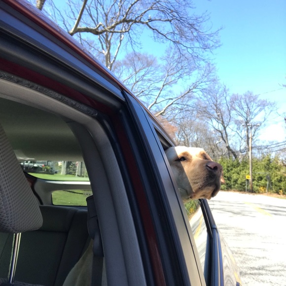 Profile Picture of Beth Diviney (@bethbod) on Poshmark