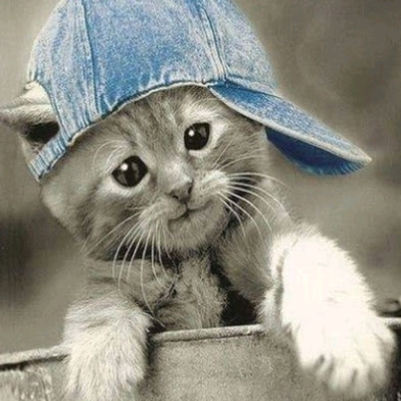 Farrah Boyd - Poshmark Profile Picture of Farrah Boyd (@farrahboyd2014) on Poshmark